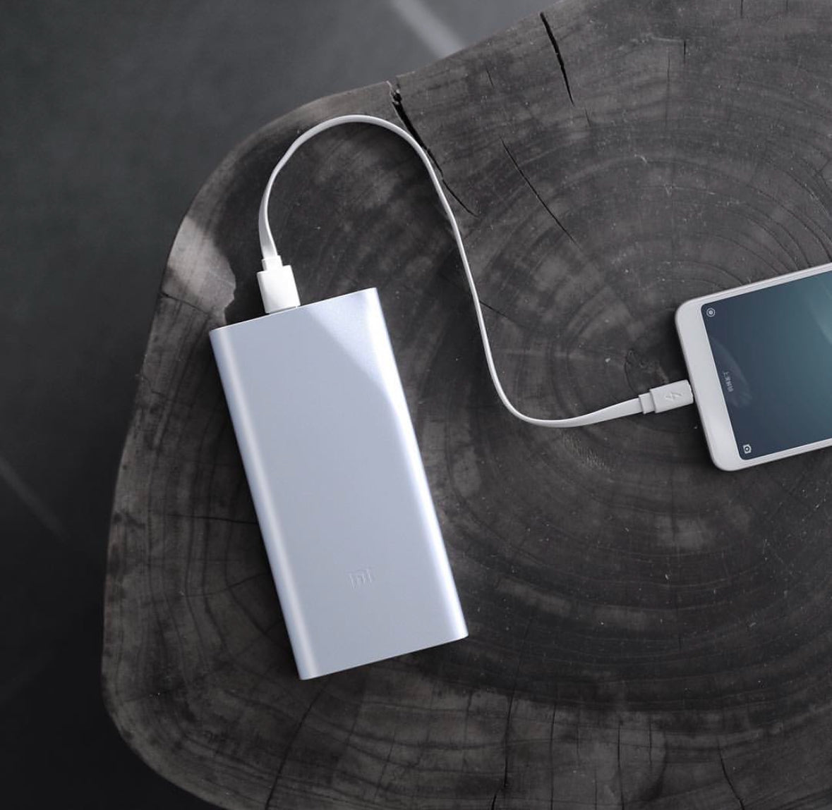 Mi 10000mAh Power bank 22.5W